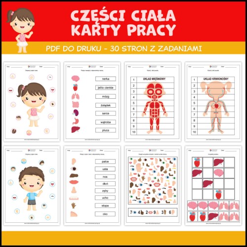 Cz ci Cia a Karty Pracy Do Druku Sylwetka Cz owieka PDF Drukatek pl Cz ci Cia a Karty Pracy Do Druku Sylwetka Cz owieka PDF Drukatek pl