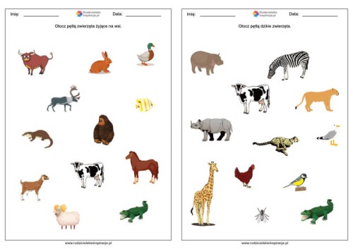 zwierzeta-karty-pracy_1.jpg